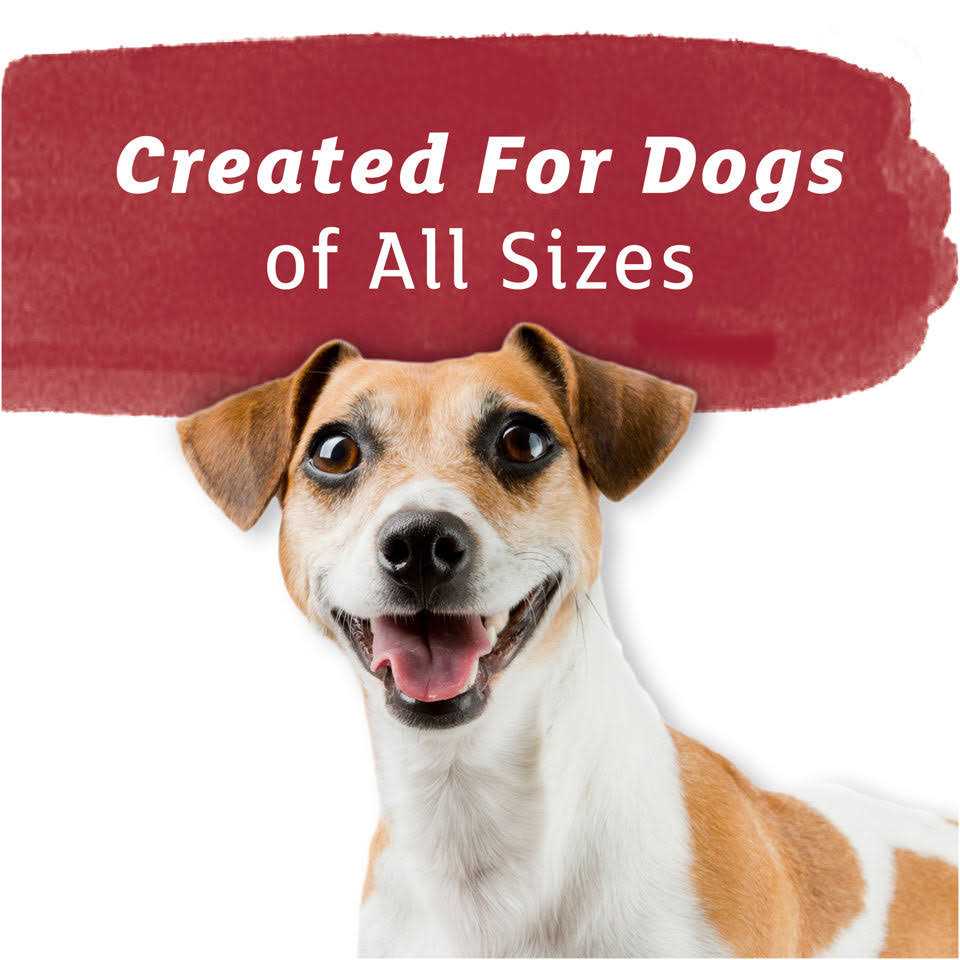 Dog Treats L972