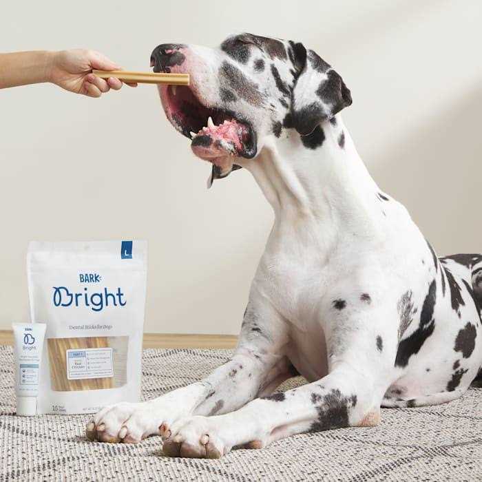 Dental Sticks for Large Dogs Chews A219
